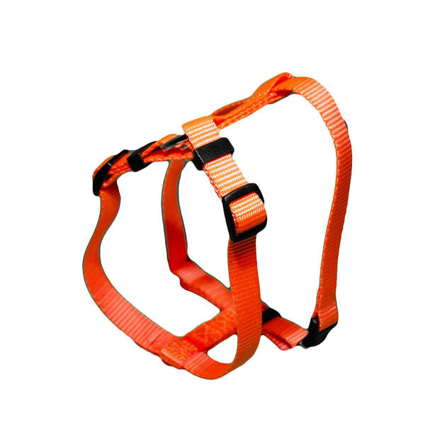 PERCELL Harness